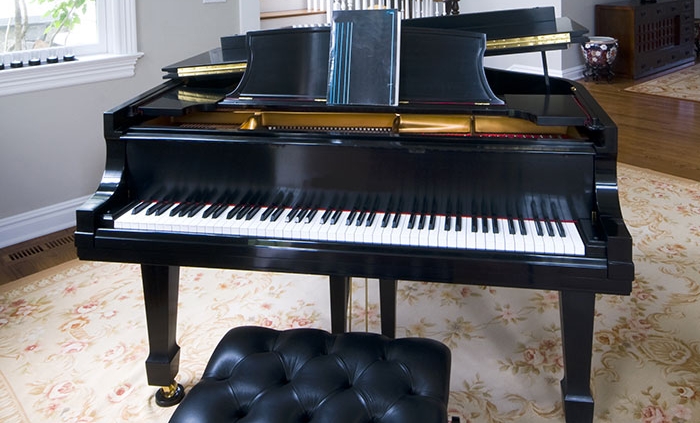 5 Top Qualities of Removalists Specialising in Piano Hire Brisbane